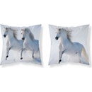 Detexpol Kone white 40 x 40 cm