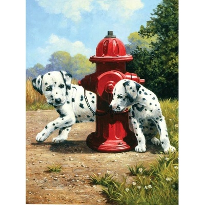 Royal Langnickel malování podle čísel dalmatini u hydrantu 22 x 30 cm karton