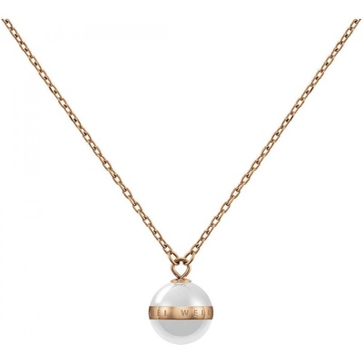 Daniel Wellington Aspiration necklace DW00400157