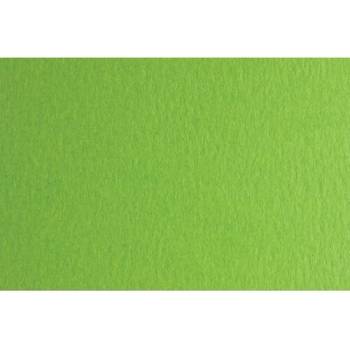 Fabriano Картон Colore, 50 x 70 cm, 200 g/m2, № 230, тревистозелен (42303230/2_VER.PIS)