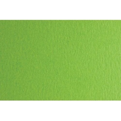 Fabriano Картон Colore, 50 x 70 cm, 200 g/m2, № 230, тревистозелен (42303230/2_VER.PIS)