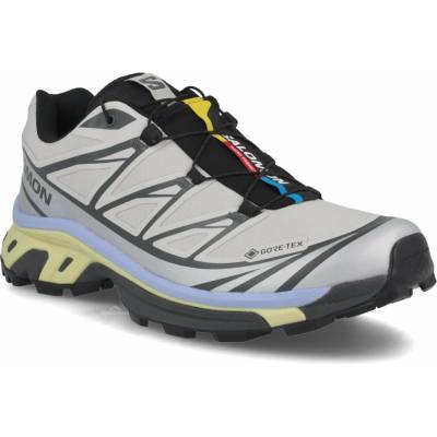 Salomon XT-6 GTX L49216100 - silver cloud/urban chic/shadow green 47 1/3