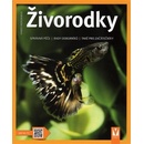 Živorodky
