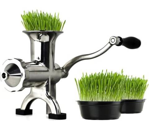 Wheatgrass BL-30