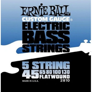 Ernie Ball 2810