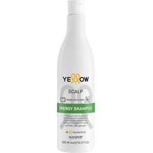 Šampón Alfaparf proti vypadávaniu vlasov 500 ml