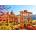 Bluebird Puzzle - Puzzle Roman Ruins in Spring, Italy - 1 000 piese