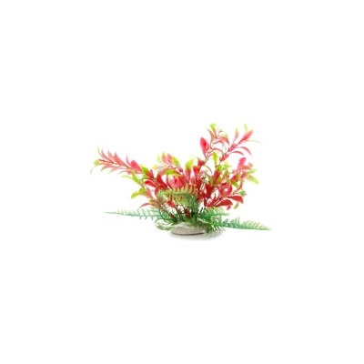 JK Animals Ludwigia červenozelená 15 cm
