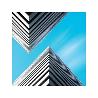 Snow Palms - Land Waves LP