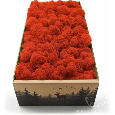 Lišajník mach vyčistený oranžový 0,5kg FIN