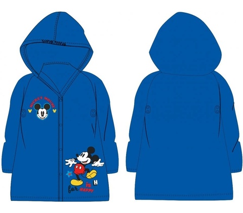 EplusM Mickey Mouse