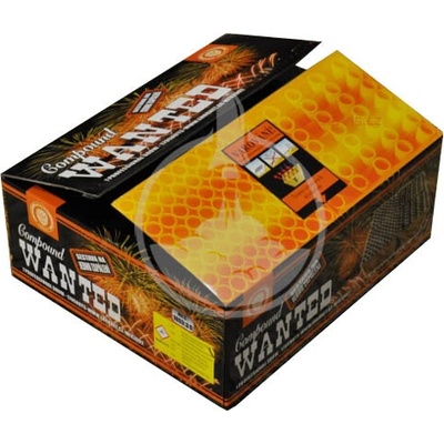 Pyrotechnika kompaktní OHŇOSTROJ WANTED 179 ran