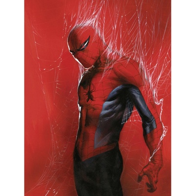 Komar Plagát Marvel Spider-Man Through the Spider Web 30 cm x 40 cm