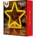 FOREVER LIGHT NEON LED dekorácia HVIEZDA FLNW04 RTV100428 s podstavcom