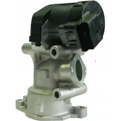 AGR-Ventil DELPHI EG10396-12B1