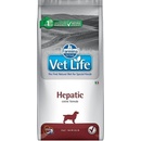 Vet Life dog Hepatic natural 12 kg