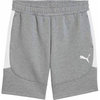 PUMA Teamevostripe shorts m