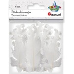 TITANUM Curly feathers white 6pcs