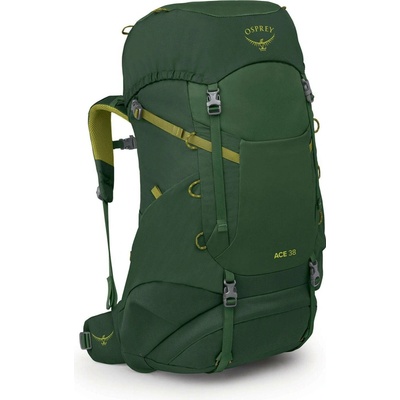 Dětský turistický batoh Osprey Ace 38 - green canopy