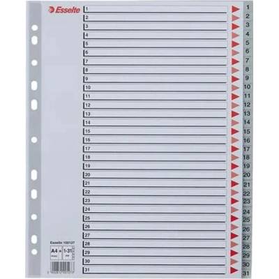 ESSELTE Register, plastový, A4 Maxi, 1-31, ESSELTE, sivý
