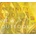 Affinity Trio - NEW OUTLOOK CD