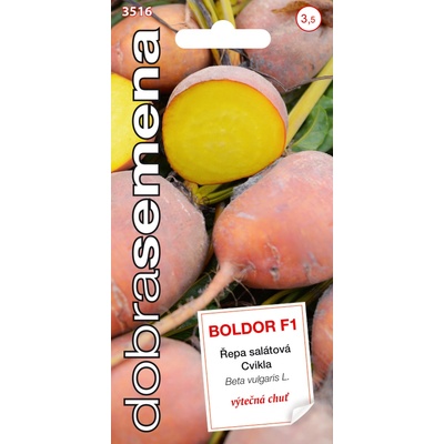 Cvikla Boldor F1 guľatá žltá DS 3516