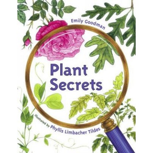 Plant Secrets | Phyllis Limbacher Tildes (ISBN: 9781580892056)