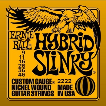 Ernie Ball 2222