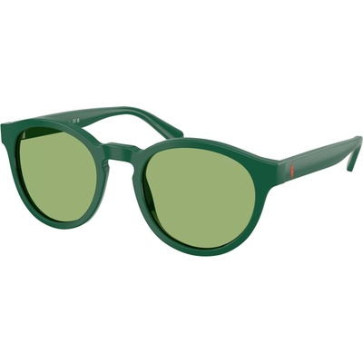 Ralph Lauren PH4192 6141/2 (PH4192 6141/2)