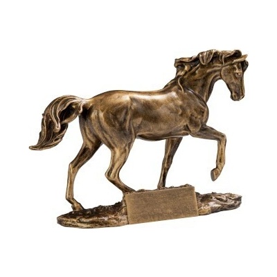 trofej 3947 kone dostihy / parkúr 39475 160x240mm