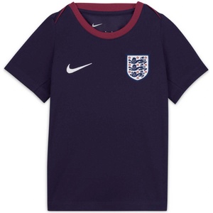 Nike Тениска ent lk nk df acdpr ss top k (fj3179-555)