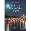 Zářivá temnota noci