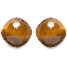 Sparkling Přívěsky na náušnice z tygřího oka EAGEM09-CC