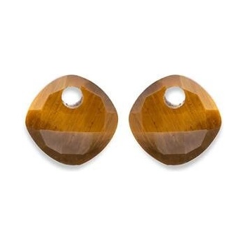 Sparkling Přívěsky na náušnice z tygřího oka EAGEM09-CC