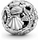 Pandora 798950C00