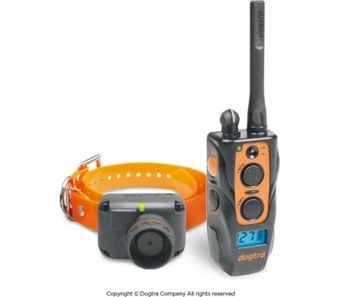 Dogtra 2600 T&B