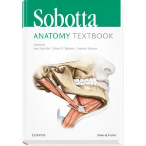 Sobotta Anatomy Textbook: English Edition with Latin Nomenclature | Friedrich Paulsen, Tobias M. Böckers, Jens Waschke (2018)