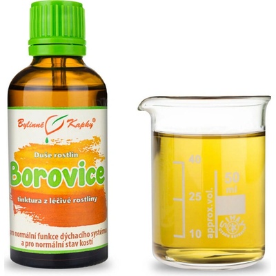 Bylinné kapky Duše rostlin Borovice tinktura 50 ml