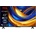 TCL 43P655