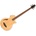 ESP LTD TL-4 Natural