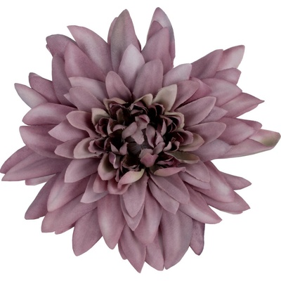 HLAVA DALIA BAL.20KS ZAMAT BORDO-CYKL.12CM