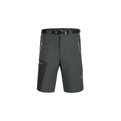 Direct Alpine Vulcan short 3.0 anthracite