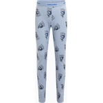 icebreaker Детски термоактивни панталони icebreaker Merino 200 Oasis Bear Tour zinc blue/aop