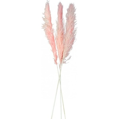 Paris Dekorace Růžová pampas, 3 ks 100-135 cm