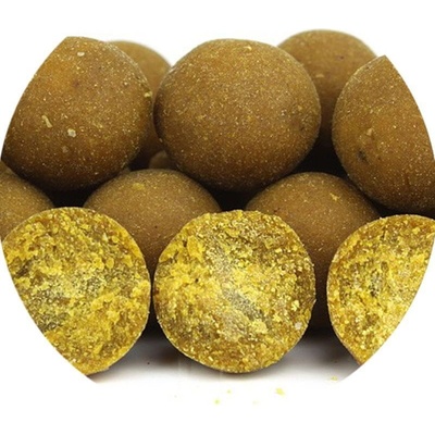 Imperial Baits boilies Carptrack Osmotic Oriental Spice 1kg 24mm