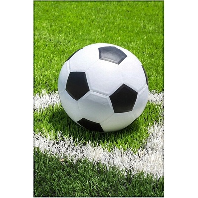 Jerry Fabrics Deka fleecová Futbal