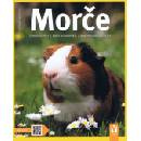 Morče