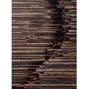 AI Weiwei