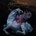 Remission - Mastodon LP