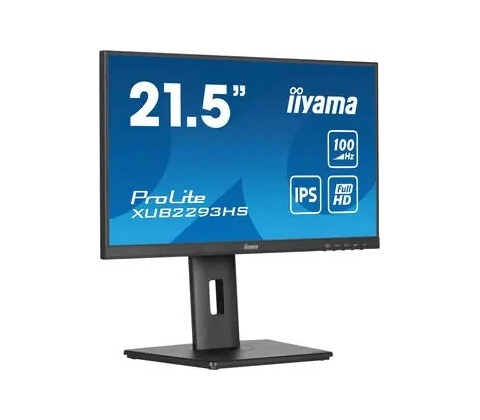 iiyama ProLite XUB2293HS-B6